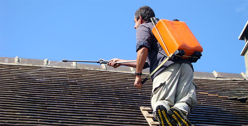 Nettoyage et Démoussage toiture : Solution de nettoyage de toiture professionnelle et produit antimousse. Sur Bruxelles Machelen en Belgique  - HV TOITURE FACADE BRUXELLES