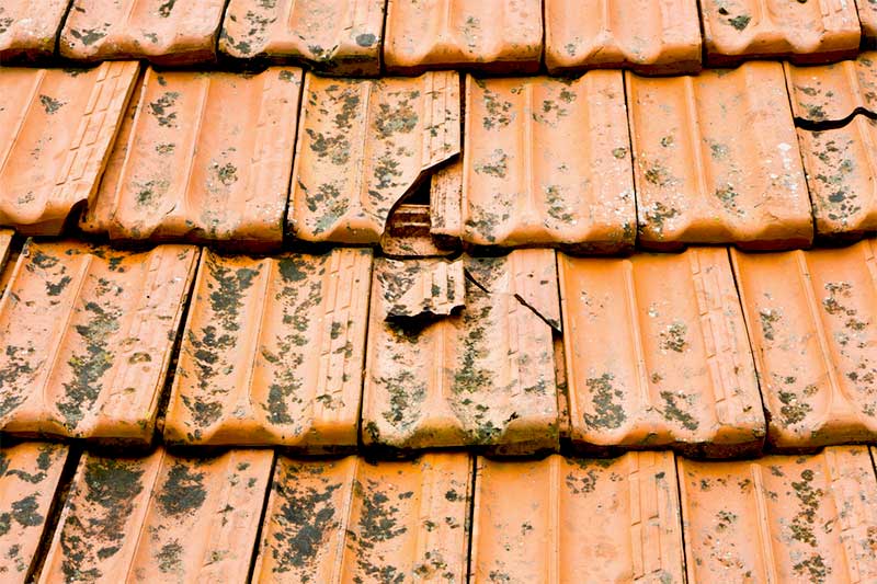 Travaux Couverture : Remplacement toiture, détection et réparation de fuites toiture tuiles. faîtage. Sur Bruxelles Machelen en Belgique - HV TOITURE FACADE BRUXELLES